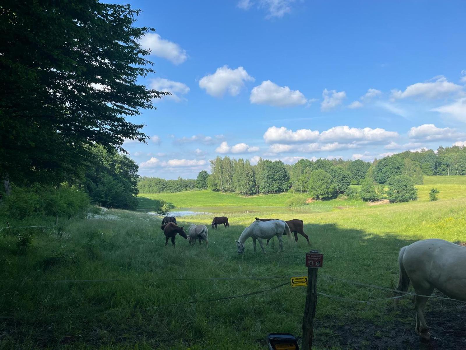 Biale * Bytow (Pomerania)
